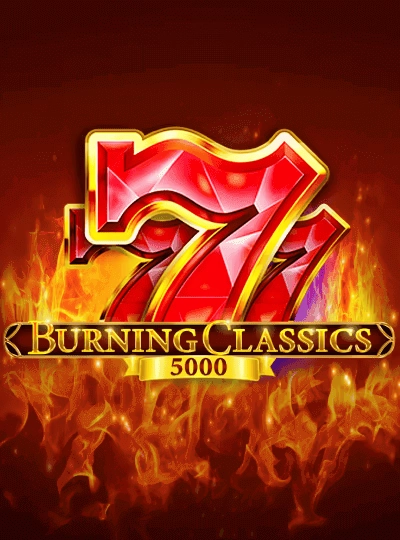 556bet