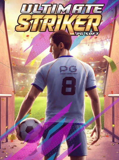 556bet