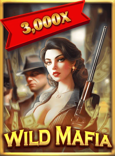 556bet