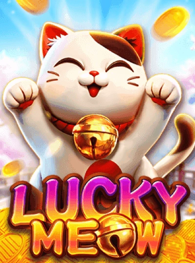 556bet